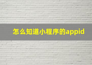 怎么知道小程序的appid