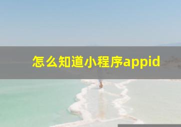 怎么知道小程序appid