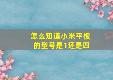 怎么知道小米平板的型号是1还是四