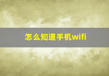 怎么知道手机wifi