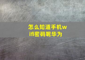 怎么知道手机wifi密码呢华为