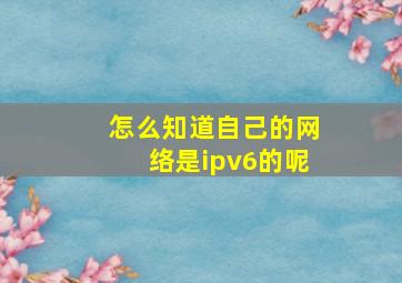 怎么知道自己的网络是ipv6的呢