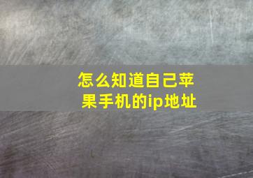 怎么知道自己苹果手机的ip地址