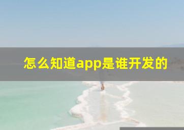 怎么知道app是谁开发的