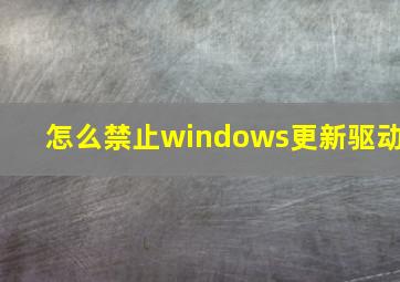 怎么禁止windows更新驱动