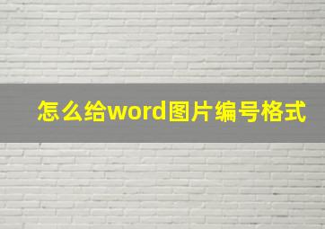 怎么给word图片编号格式