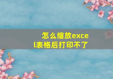 怎么缩放excel表格后打印不了