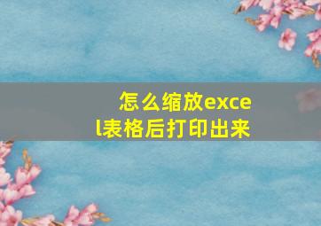 怎么缩放excel表格后打印出来