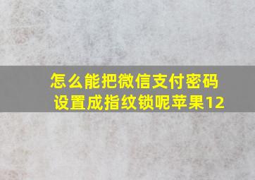 怎么能把微信支付密码设置成指纹锁呢苹果12