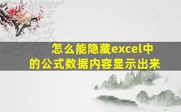 怎么能隐藏excel中的公式数据内容显示出来