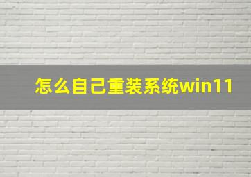 怎么自己重装系统win11