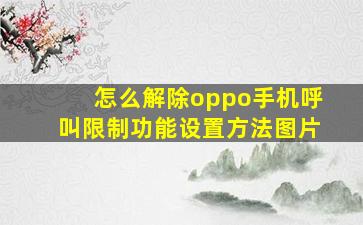 怎么解除oppo手机呼叫限制功能设置方法图片