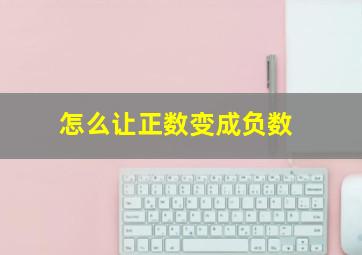 怎么让正数变成负数