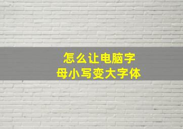 怎么让电脑字母小写变大字体