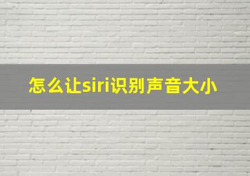 怎么让siri识别声音大小