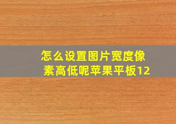 怎么设置图片宽度像素高低呢苹果平板12