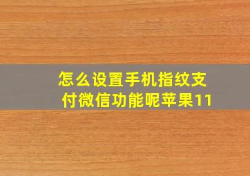 怎么设置手机指纹支付微信功能呢苹果11