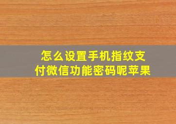 怎么设置手机指纹支付微信功能密码呢苹果