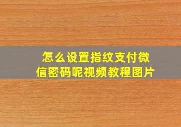 怎么设置指纹支付微信密码呢视频教程图片