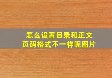 怎么设置目录和正文页码格式不一样呢图片