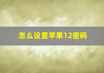 怎么设置苹果12密码