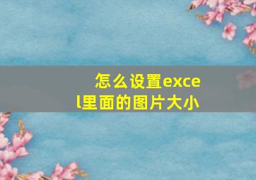 怎么设置excel里面的图片大小