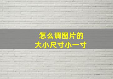 怎么调图片的大小尺寸小一寸