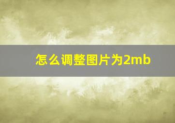 怎么调整图片为2mb