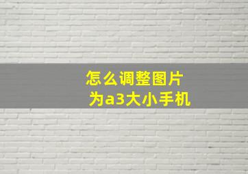 怎么调整图片为a3大小手机