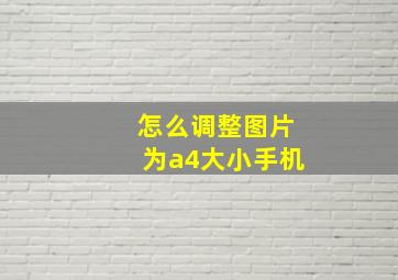 怎么调整图片为a4大小手机