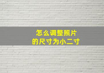 怎么调整照片的尺寸为小二寸