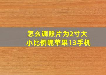 怎么调照片为2寸大小比例呢苹果13手机