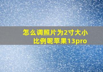 怎么调照片为2寸大小比例呢苹果13pro