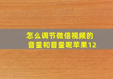 怎么调节微信视频的音量和音量呢苹果12