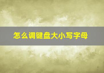 怎么调键盘大小写字母