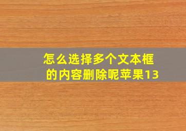 怎么选择多个文本框的内容删除呢苹果13