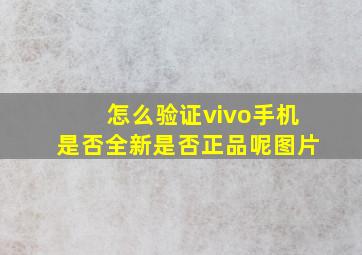 怎么验证vivo手机是否全新是否正品呢图片