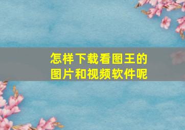 怎样下载看图王的图片和视频软件呢