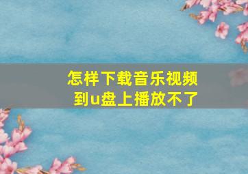 怎样下载音乐视频到u盘上播放不了