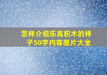 怎样介绍乐高积木的样子50字内容图片大全