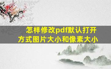 怎样修改pdf默认打开方式图片大小和像素大小