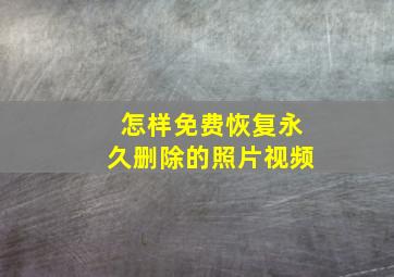 怎样免费恢复永久删除的照片视频