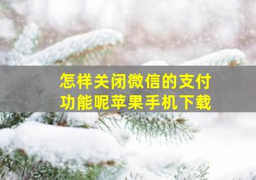 怎样关闭微信的支付功能呢苹果手机下载