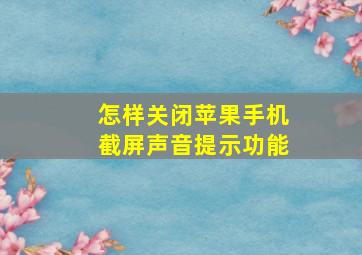 怎样关闭苹果手机截屏声音提示功能