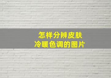 怎样分辨皮肤冷暖色调的图片