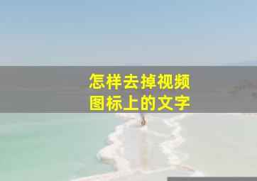 怎样去掉视频图标上的文字