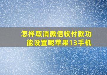 怎样取消微信收付款功能设置呢苹果13手机