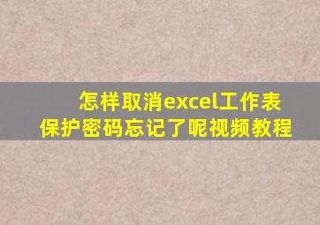 怎样取消excel工作表保护密码忘记了呢视频教程