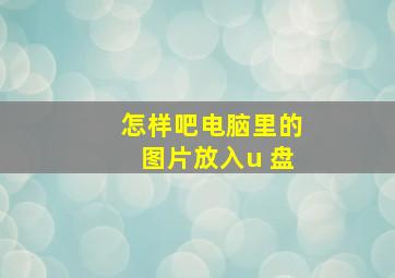 怎样吧电脑里的图片放入u 盘