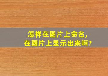 怎样在图片上命名,在图片上显示出来啊?